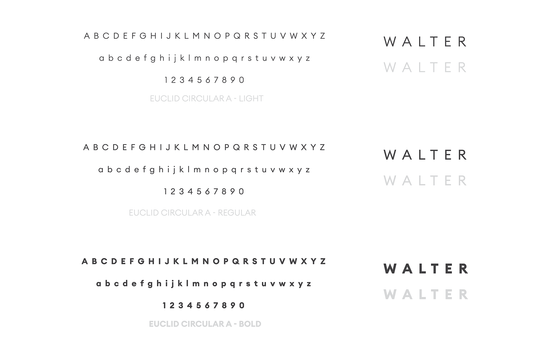 Walter typography selection and brand type system