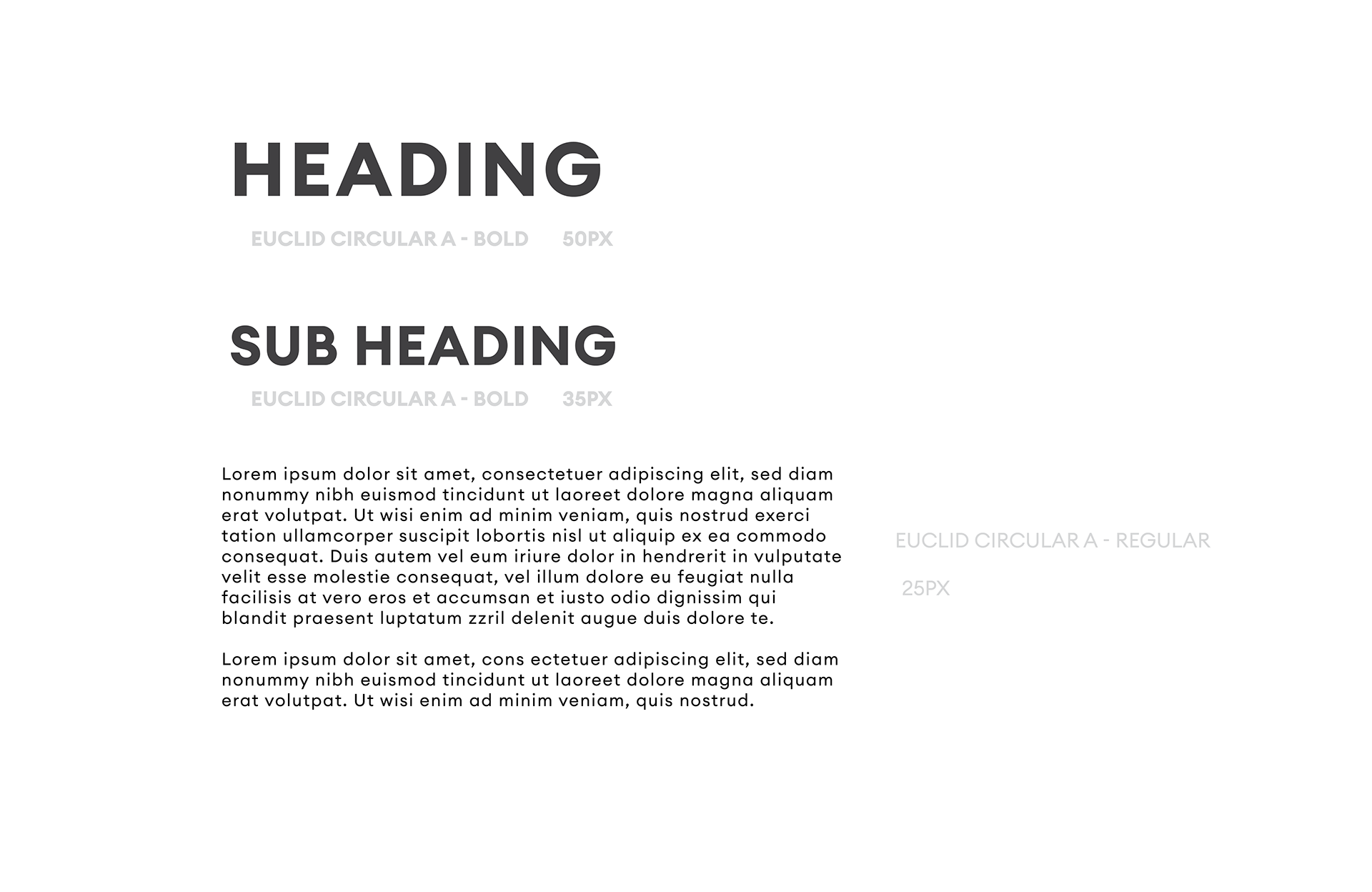 Walter typography hierarchy and layout guidance